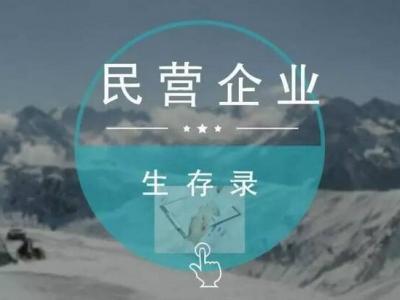 晨光智慧：民營企業生存錄